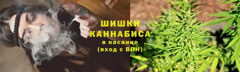 где купить наркотик  Будённовск  Конопля AK-47 